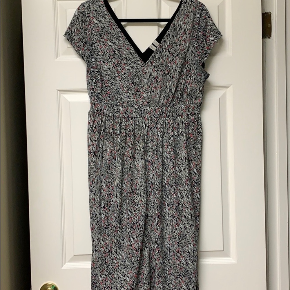 Madison knit black white fuchsia poly blend dress